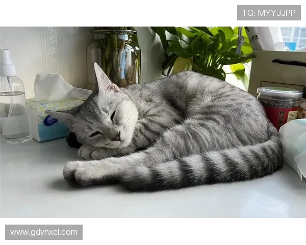 鐢宠姳闃茬嚎宕╃洏涓夌悆鍛婅礋 鏂竻鑷矗鐥涘け涓夊垎